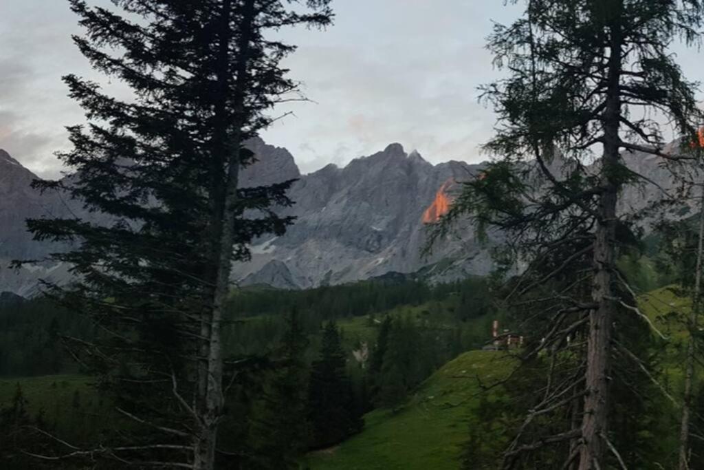 Apartment Tauernblick Ramsau am Dachstein Eksteriør bilde