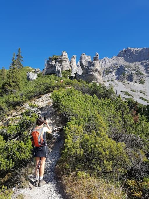 Apartment Tauernblick Ramsau am Dachstein Eksteriør bilde